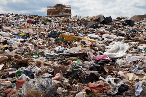 Eco-friendly garden clearance process in Raynes Park